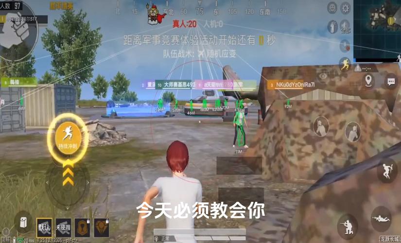 和平精英DDYS辅助